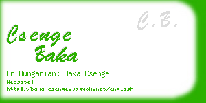 csenge baka business card